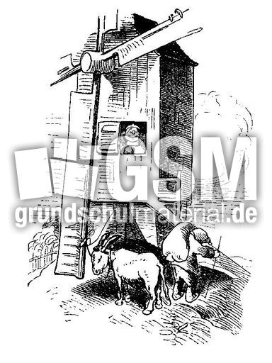 Bauer-Mueller sw_02.jpg